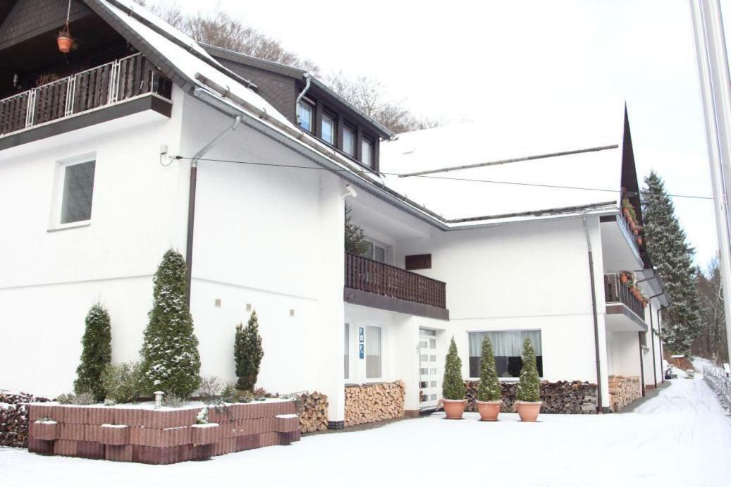 Pension Walddorf Winterberg Exterior foto