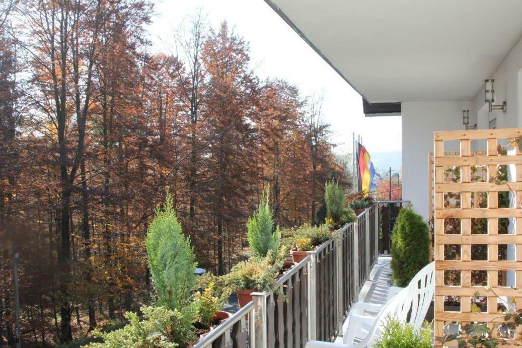 Pension Walddorf Winterberg Exterior foto