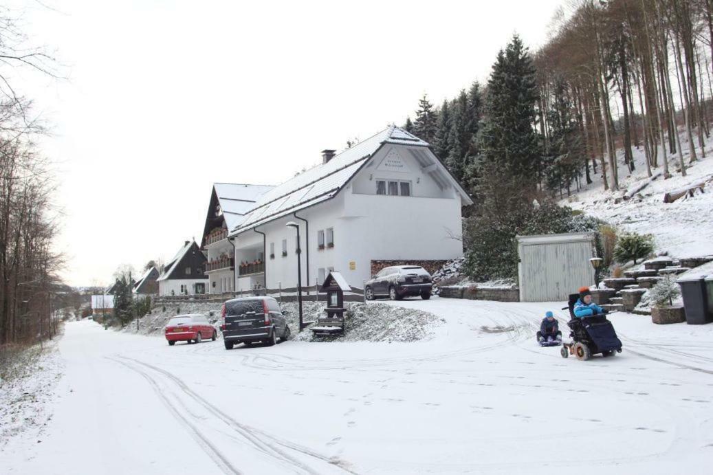 Pension Walddorf Winterberg Exterior foto