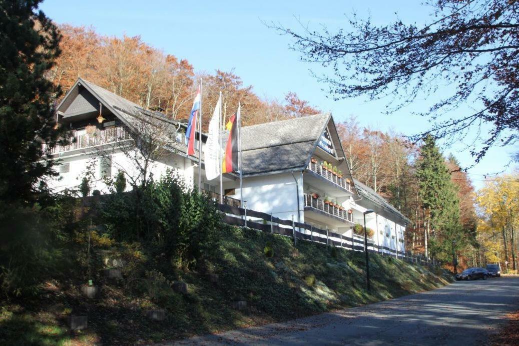 Pension Walddorf Winterberg Exterior foto